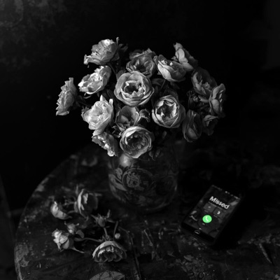 ¿Cual es tu show? (feat. Keielkey) - Single