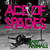Ace Of Spades (feat. Chris Cheney) - Baby Animals