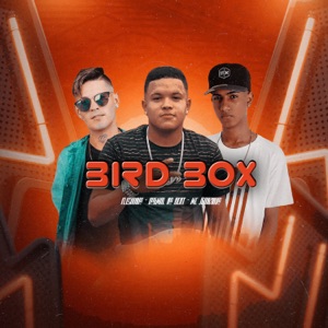 Bird Box