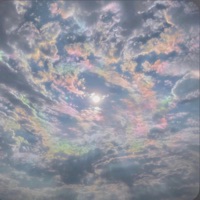 MedTrophia - Single - XO C'S