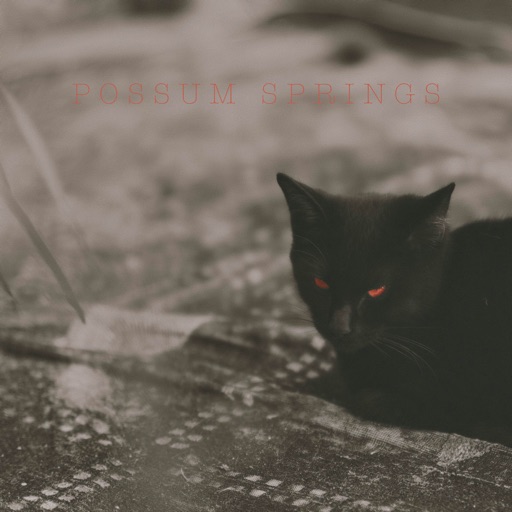 Album artwork