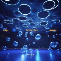 Vibes - Single - Trevor Poole