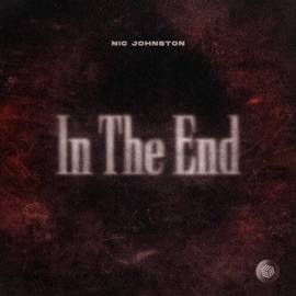 In the End Nic Johnston