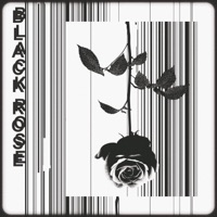 Black Rose - Single - OK!DYNAMITE & SLM