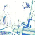 Greener