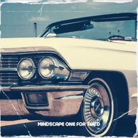 One For The D Mindscape