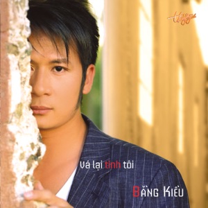 Vá Lại Tình Tôi