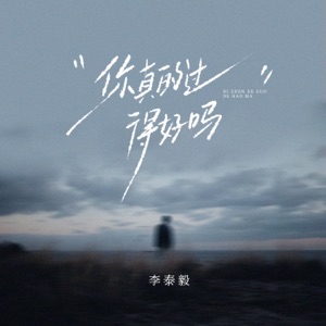 你真的过得好吗 - Single