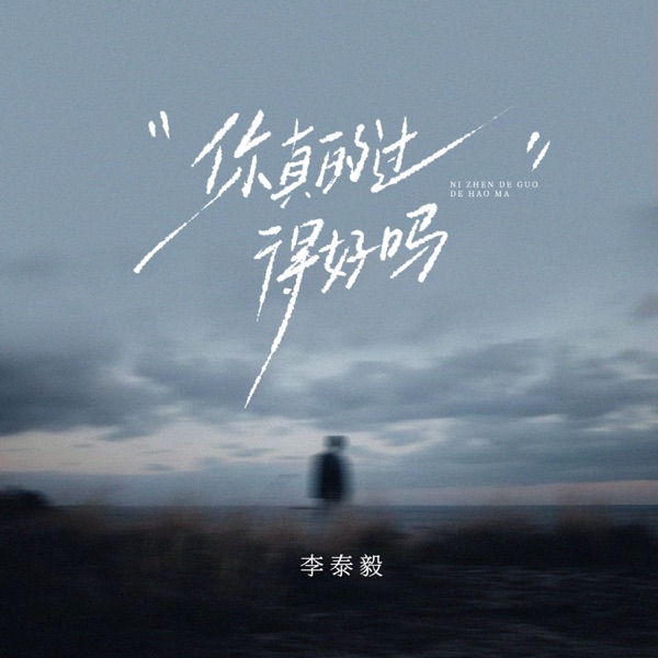 你真的过得好吗 - Single