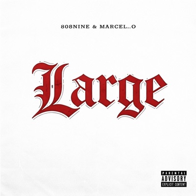 Large (feat. Marcel. O) - Single
