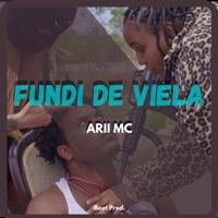 Fundi de Viela - Single - Arii MC