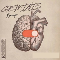 Geminis - Single - BocxnegrX