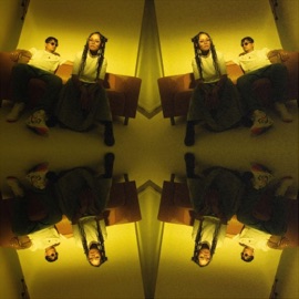 Telephotoscopic Lens Kapok & Kaya Ko