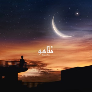 Tetamu Album Art