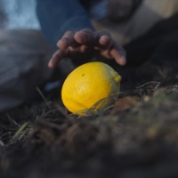 Lemonade (feat. SVDP) - Single - Ami