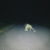 Fred Testot Testot fred Testot fred - Single
