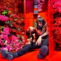 NOT FOR THE FAINT OF HEART! - Grossman & BL8KE G