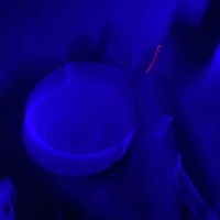 Bebiendo Pills - Single - Ingenio