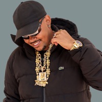 Ela Gosta de Criminoso (feat. MC GN SHEIK & Mc Clevin) - Single - DJ BR SAMPLER