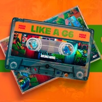 MEGA FUNK LIKE A G6 (feat. JAYZERA) - Single - Dj bruno Arns SC