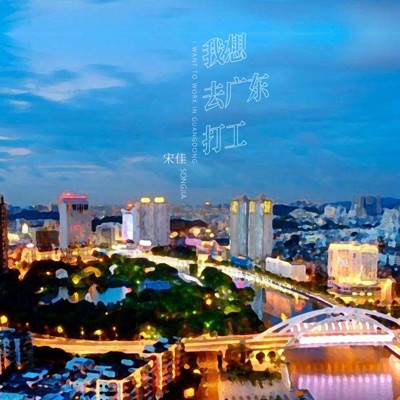 我想去广东打工 - Single