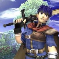 Type - Single - Drevladd