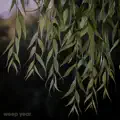 Willow
