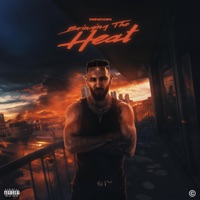 Bringing The Heat - Rincon