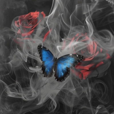 never fall in love with me - Single