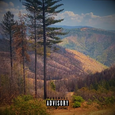 What You've Got - Single