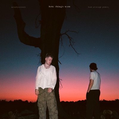 How Things Were (feat. average james.) - Single