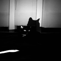 Bottle Cap Bandit - Single - Valentino