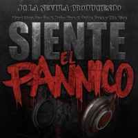 Siente El Panico (feat. Baby Flow & Doble Face y The Five) - Single - Hard Class Studios