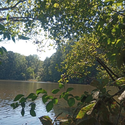 untitled 1226 - Single