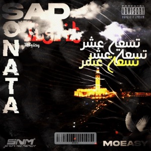 SADLIGHT SONATA  (feat. Moeasy) [SPED UP]