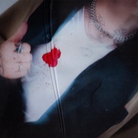 TODOS QUIEREN BRILLAR (feat. Benjaialgo & DIM0N) - Single - Ralph