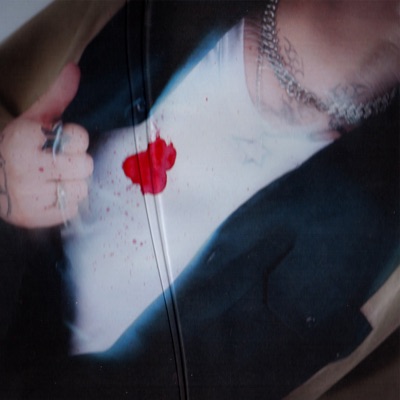 TODOS QUIEREN BRILLAR (feat. Benjaialgo & DIM0N) - Single