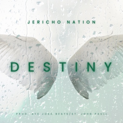 Destiny - Single
