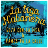 Vamos pá la calle (feat. Rapson Espinosa) artwork