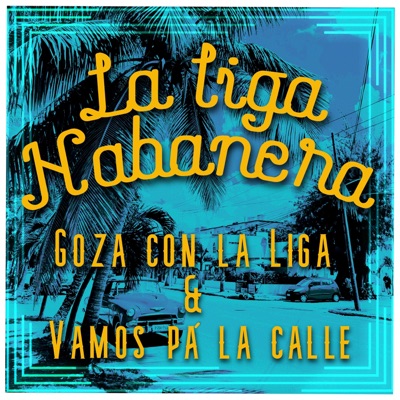 Goza con La liga & Vamos pá la calle - Single