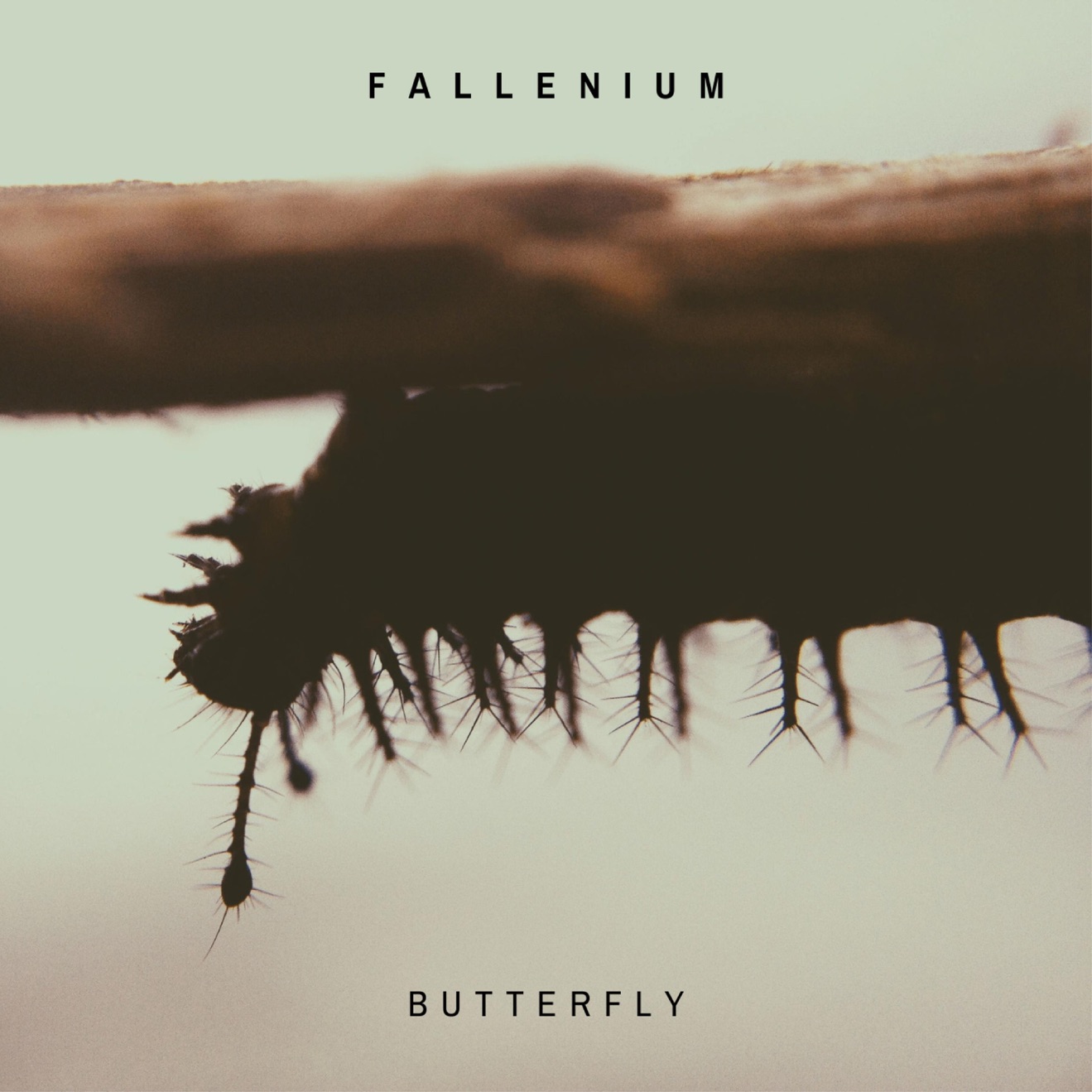 Fallenium – Butterfly – Single (2024) [iTunes Match M4A]