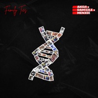 Family Ties - Single - DAM!ZZLE, akoji & Menxee
