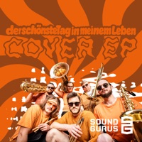 derschönstetaginmeinemleben (Sound Gurus Version) - Single - Fäaschtbänkler & Sound Gurus
