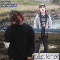 past tense (feat. Internet Blush) - Single - NotLewy