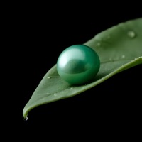 I Like The Way You Move Tonight - Single - Ray Le Fanue