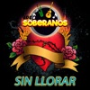 Sin Llorar - Single