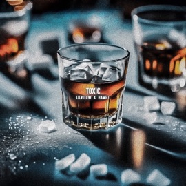 Toxic (feat. Hamet) LilVitow