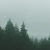 Soft Breeze
