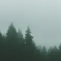 Soft Breeze