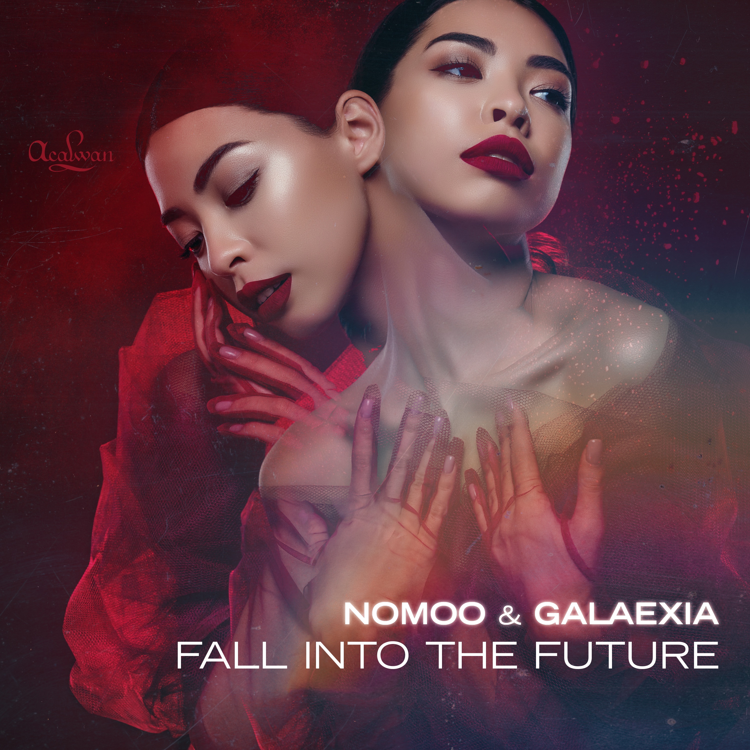 Fall Into The Future - Single